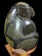 Septarian Dragon Egg Geode - Black Crystals #72066-1